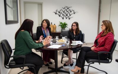 Educação infantil é tema de reunião do Programa da Primeira Infância