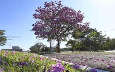 Semana começa com tempo estável, mas com previsão de queda na temperatura na quinta-feira