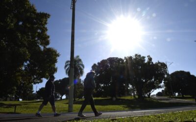Segunda-feira com sol, tempo seco e temperaturas elevadas para todo o estado