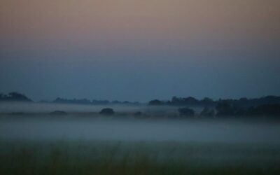 Frio continua em MS nesta sexta-feira, com mínima de 7°C na região sul e possibilidade de geada