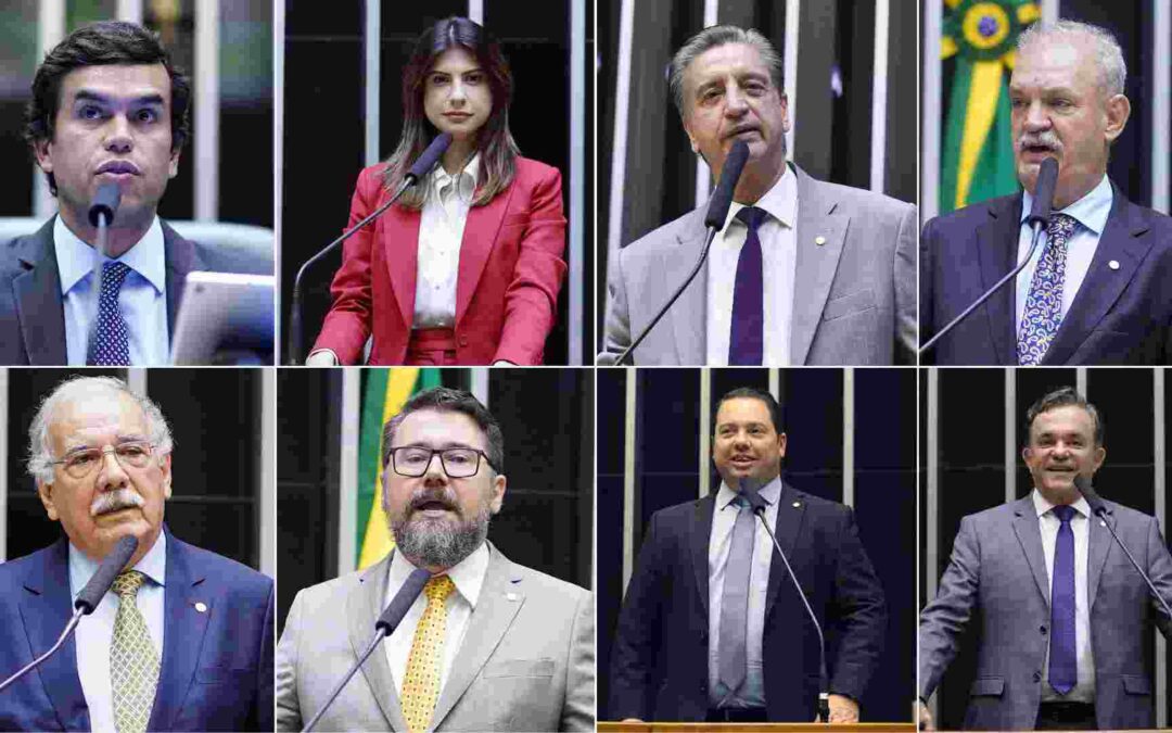 Bancada Federal de MS votou arcabouço fiscal a marco temporal no 1° semestre;