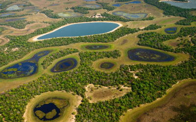 Abundância de chuvas reduz riscos de queimadas no Pantanal