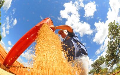 MS desponta no agronegócio nacional com alta na renda agropecuária e na busca por crédito rural