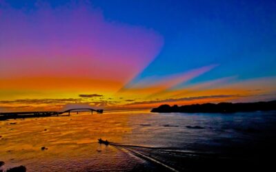 Lei do Pantanal é aguardada com expectativa e será elaborada com participação social
