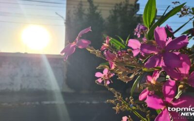 Nada de chuva! Sábado deve de sol e ar seco no MS
