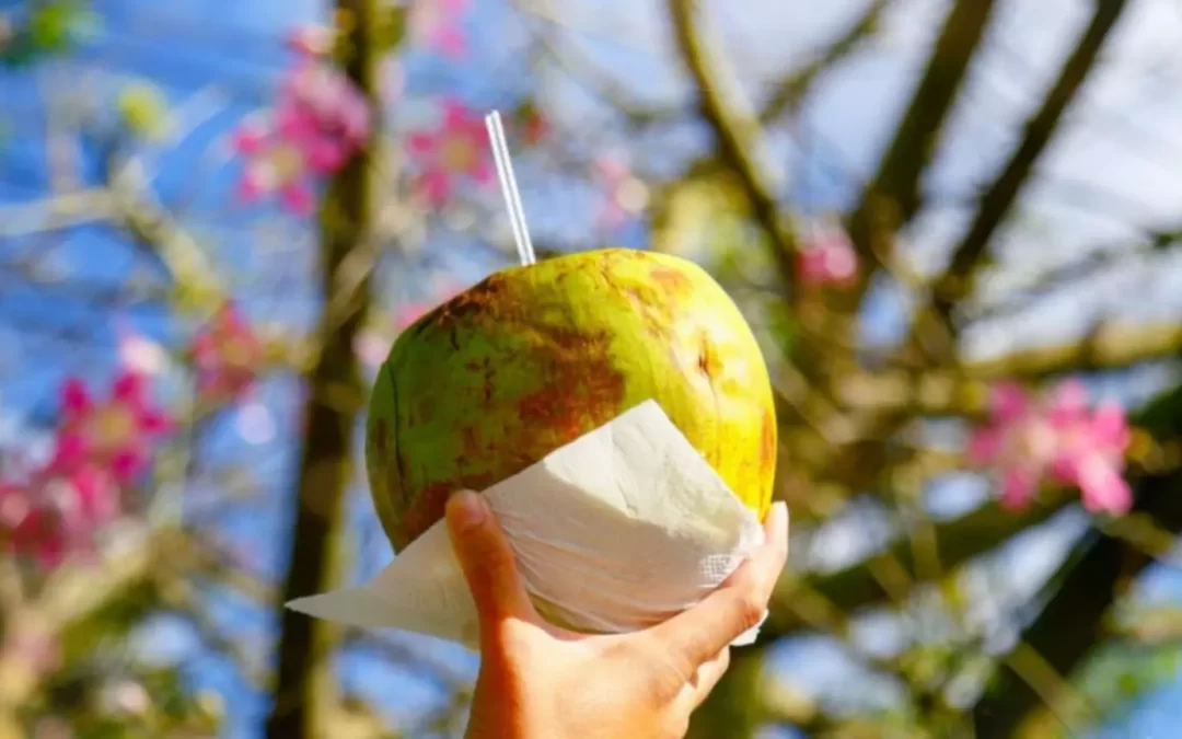 Hábitos que podem reduzir o impacto da onda de calor em Mato Grosso do Sul