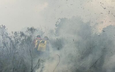 Bombeiros controlam incêndio florestal em Bonito e continuam em monitoramento na região