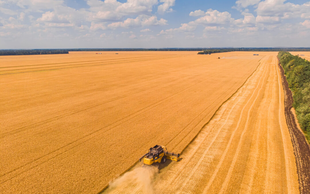 Campo Grande segue na liderança entre as capitais com a maior produção agrícola do país, segundo estudo do IBGE divulgado nesta quinta