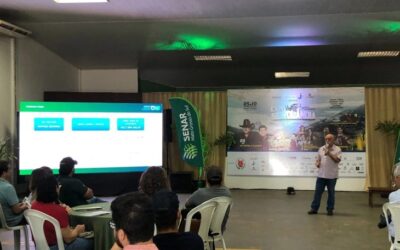 Cadeia produtiva da avicultura de MS cresceu neste ano mesmo diante da ameaça da gripe aviária