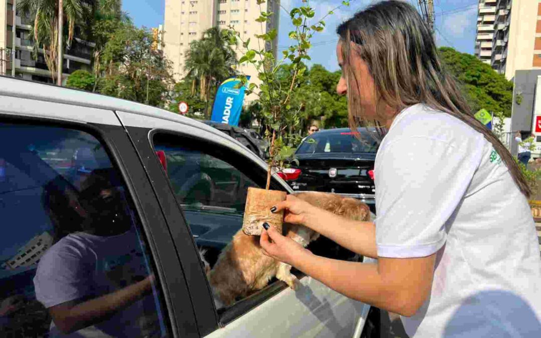 Gosta de árvores? Semadur distribui 10 mil mudas de árvores frutíferas na Afonso Pena