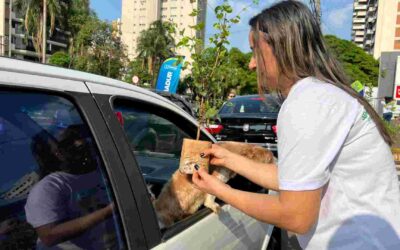 Gosta de árvores? Semadur distribui 10 mil mudas de árvores frutíferas na Afonso Pena