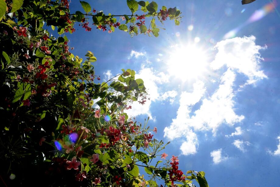 Primavera será chuvosa, mas terá calorão acima da média em MS