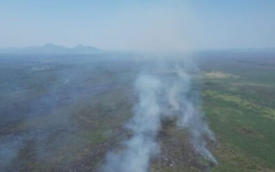 Governo de MS busca alternativa para evitar incêndios no Pantanal