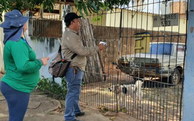 CCZ realiza ação de bloqueio em bairro onde oitavo caso de Raiva em morcego foi confirmado