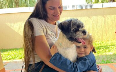 Inscrições para o Programa de Castração de Cães e Gatos reabrem na segunda-feira