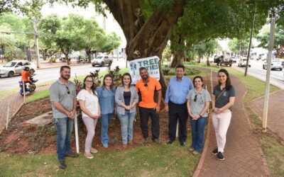 Pioneira na prática fitossanitária das árvores, Prefeitura realiza nova etapa de tratamentos em Campo Grande