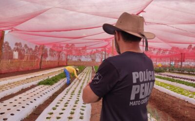 Horta de presídio é esperança de ressocialização e fonte de alimentação a pessoas carentes