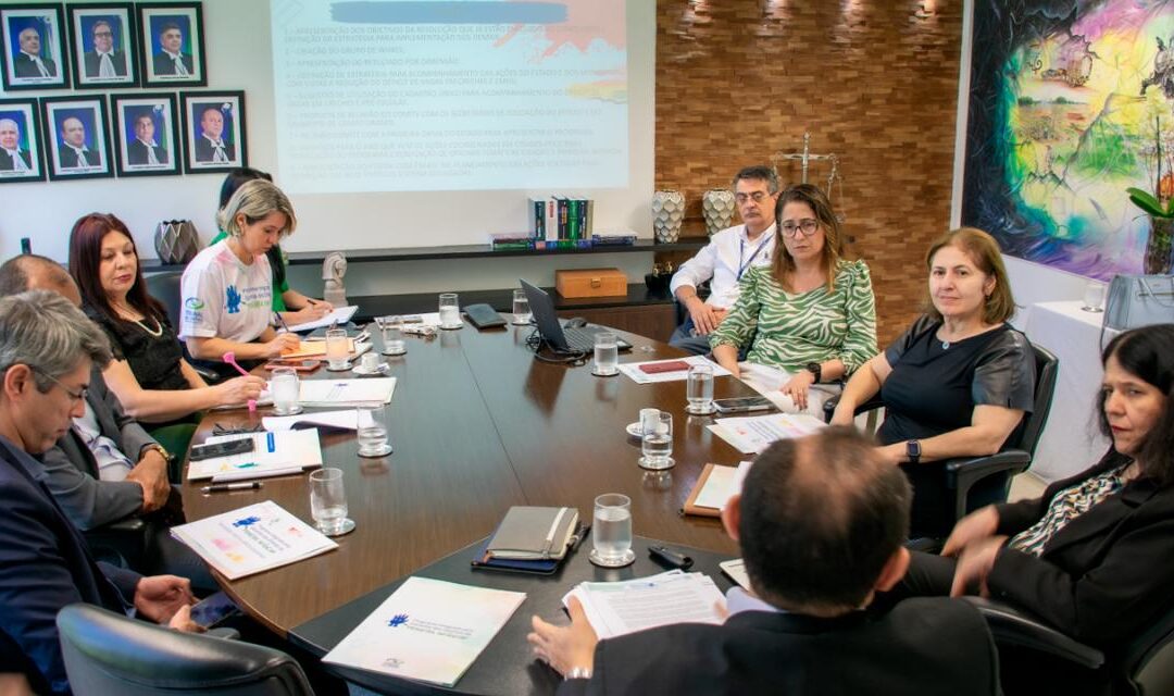 Comitê define próximas ações do Programa Integrado pela Garantia dos Direitos da Primeira Infância