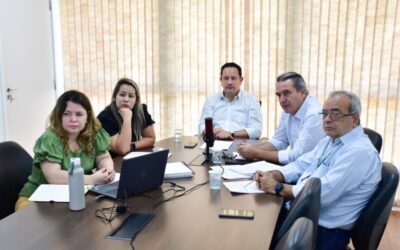 Conselho aprova R$ 235 milhões do FCO com destaque para suinocultura, avicultura e irrigação em MS
