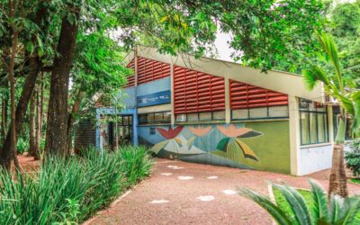 Prefeitura abre inscrições para oficina gratuita de Kokedama no Horto Florestal