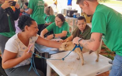 Prefeitura realiza ação de atendimento veterinário itinerante no Bairro Estrela Dalva