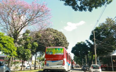 Usuários do transporte coletivo terão linha de ônibus especial com trajeto da Ary Coelho a Cidade do Natal