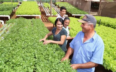 Produtores familiares assistidos pela Prefeitura precisam concluir Cadastro Rural até fevereiro