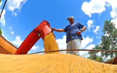 Exportações de MS batem recorde, crescem 28,1% e chegam a US$ 10,517 bilhões em 2023