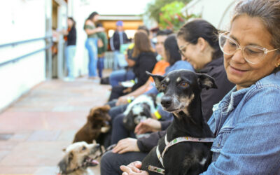 Nódulos em pets não devem ser ignorados, destaca veterinário da Subea