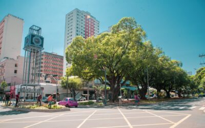 Pelo 5º ano consecutivo, Campo Grande celebra o reconhecimento como uma Tree City of the World