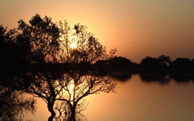 Final de semana tem sol e probabilidade de chuvas em grande parte de MS