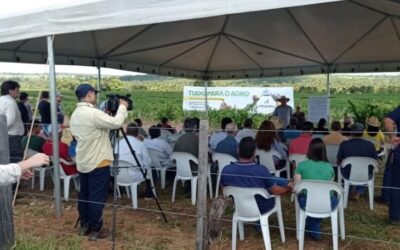 Governo incentiva o desenvolvimento da fruticultura para diversificar a base produtiva do Estado