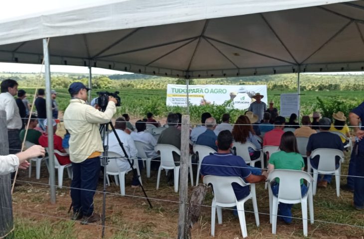 Governo incentiva o desenvolvimento da fruticultura para diversificar a base produtiva do Estado