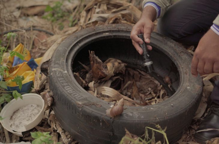 Dicas simples podem ajudar na prevenção contra dengue na sua residência