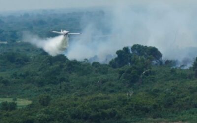 Com incêndio extinto no Pantanal de MS, bombeiros fazem monitoramento na Serra do Amolar
