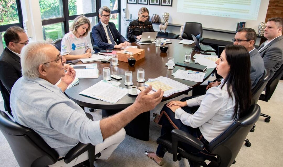 Comitê da primeira infância do TCE-MS apresenta planejamento de ações para 2024