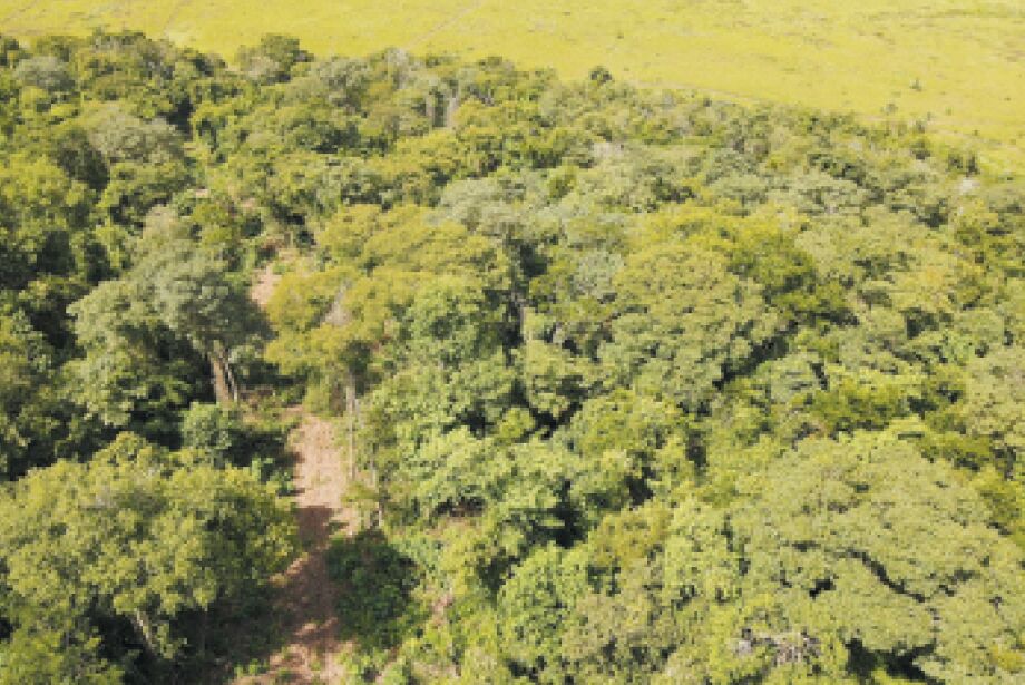 Agro tenta reduzir obrigações e ser remunerado em plano de adaptação às mudanças climáticas