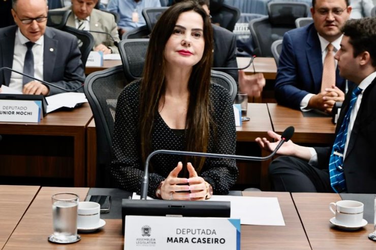 Mara Caseiro defende concurso para delegadas especializadas em atendimento à mulher