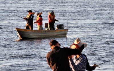 MS fará lançamento de campanha da pesca esportiva durante a feira mais importante do segmento