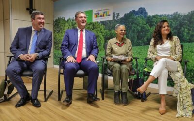 Setor florestal e expansão econômica de MS são destacados em lançamento de plano nacional
