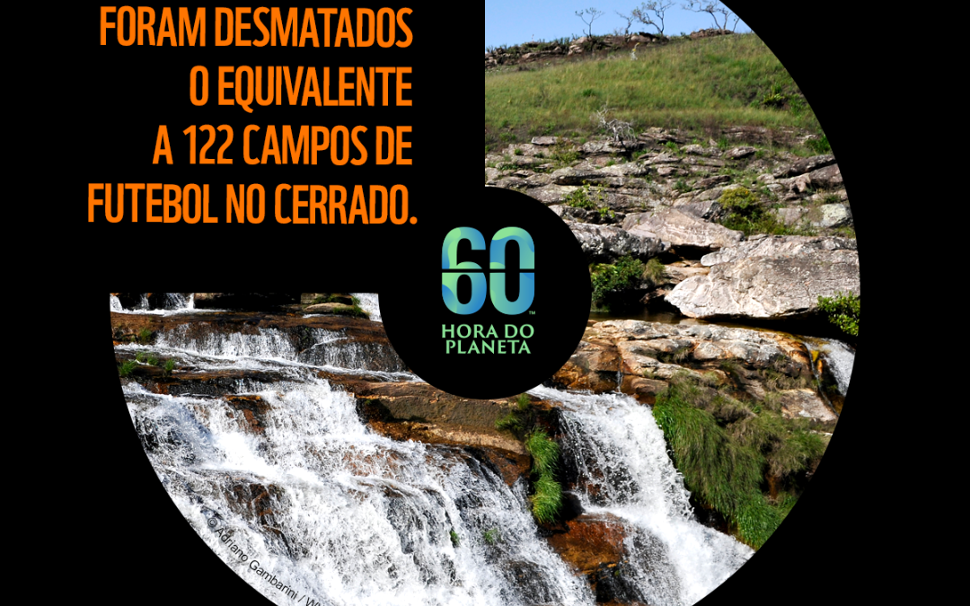 Campo Grande participa da “Hora do Planeta 2024” idealizada pela Organização de Conservação Global WWF