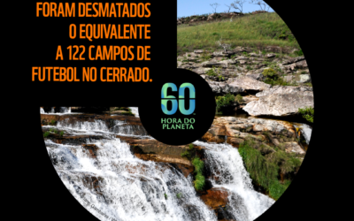 Campo Grande participa da “Hora do Planeta 2024” idealizada pela Organização de Conservação Global WWF
