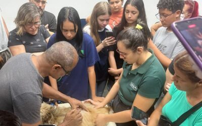 Prefeitura realiza primeiro curso de qualificação para atendentes em serviços Pets
