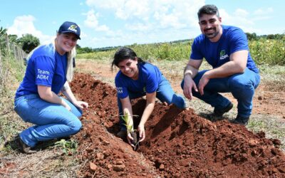Prefeitura é parceira em ação da ADM que vai plantar três mil mudas de frutos nativos em região turística de Campo Grande