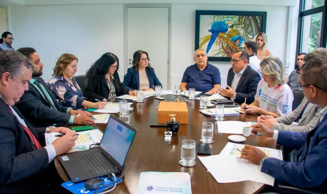 TCE-MS e parceiros do Programa da Primeira Infância definem ações para 2024