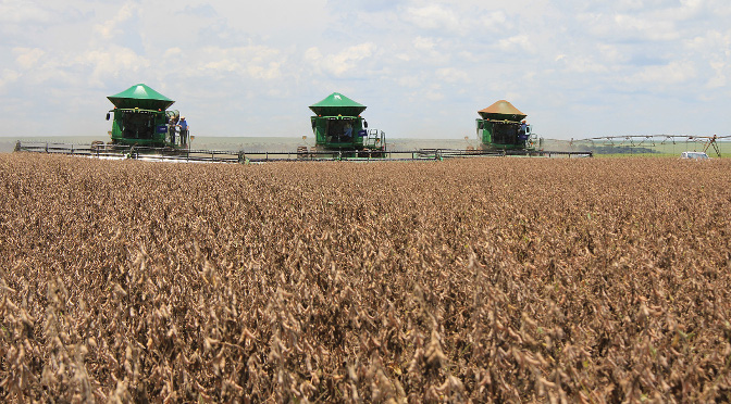 Produtores de MS com perdas na safra podem renegociar dívidas do crédito rural para investimentos