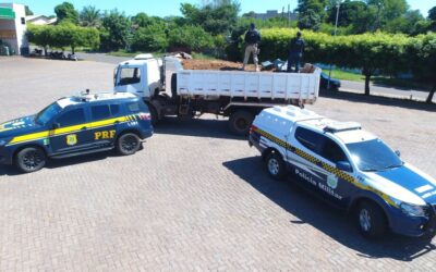 PRF intercepta caminhão com 12 toneladas de maconha e faz maior apreensão do ano em Jardim