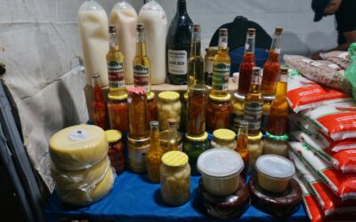 Produtores esperam dobrar vendas em relação à última edição da Festa do Queijo