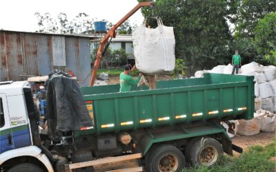 Programa que cumpre quatro Objetivos de Desenvolvimento Sustentável completa um ano de entregas