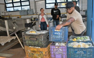 Início das entregas do PAA garante seis toneladas de alimentos para famílias em situação de insegurança alimentar
